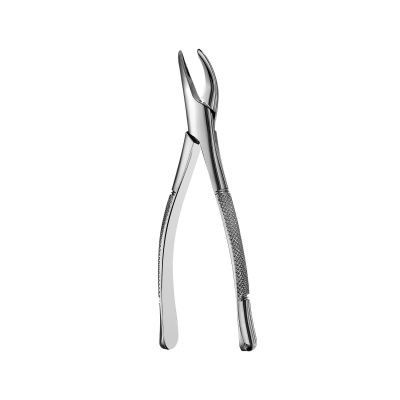 Dental Extraction Forceps