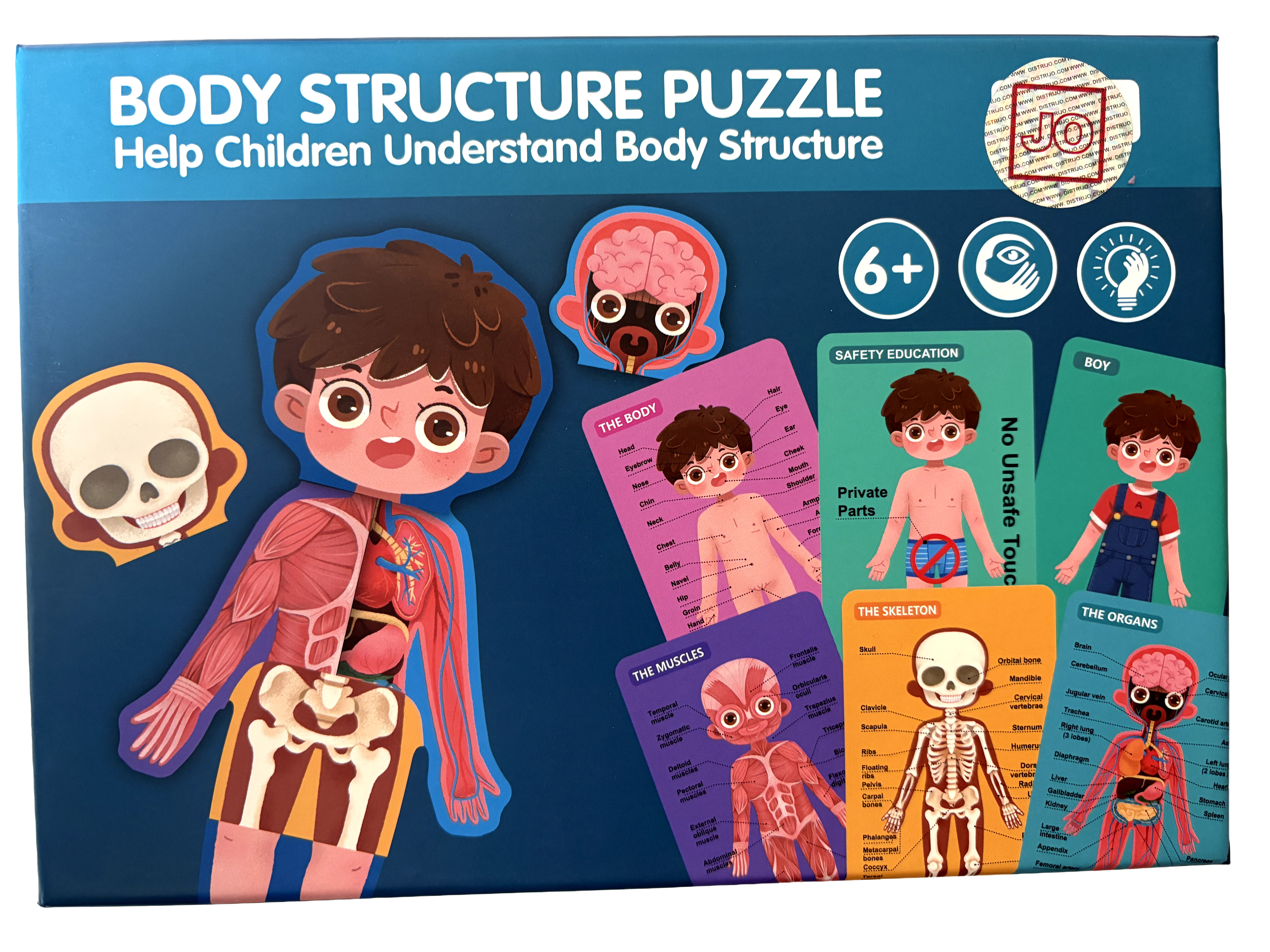 Rompecabezas Educativo del Cuerpo Humano - Version Niño