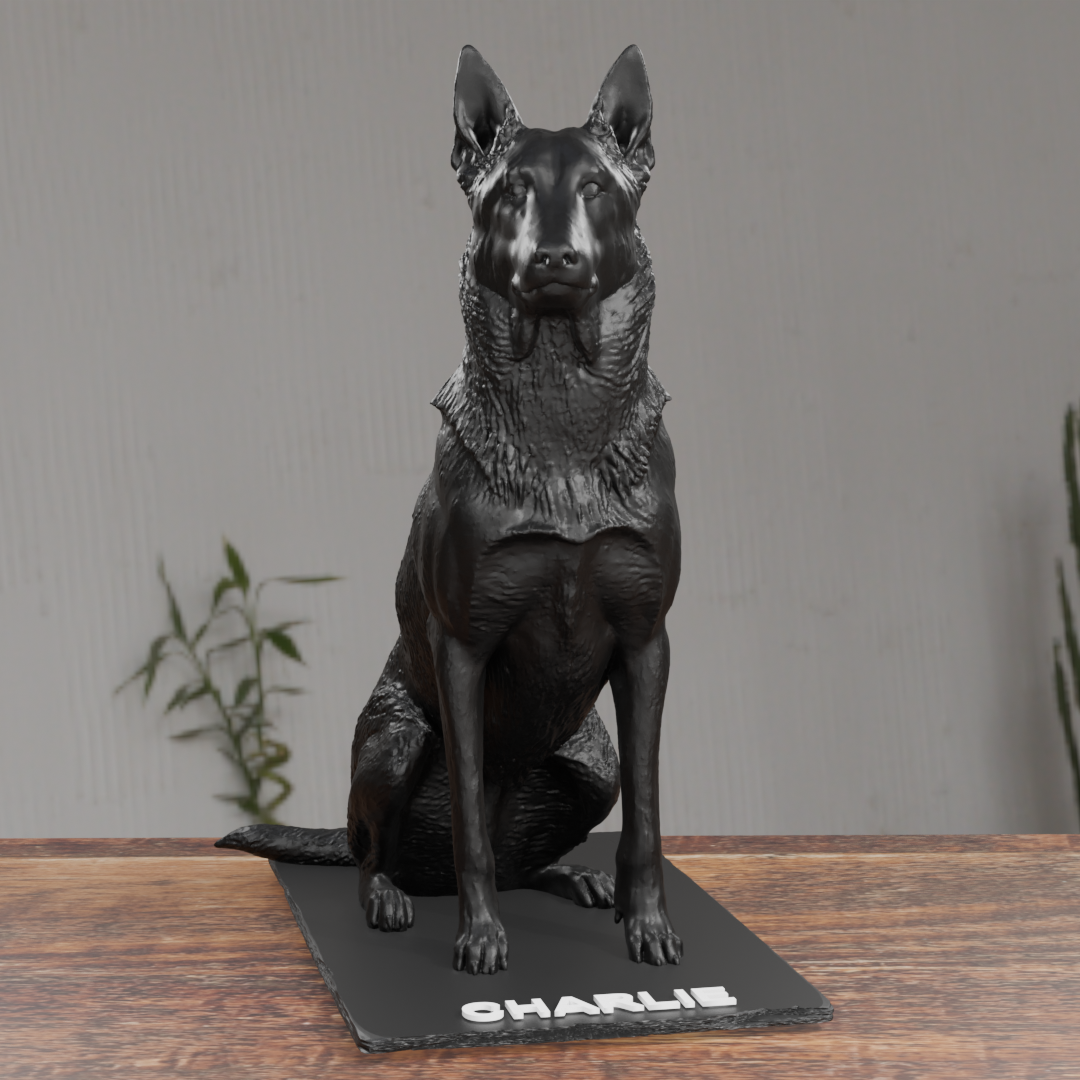 Belgian Shepherd Dog Statue 