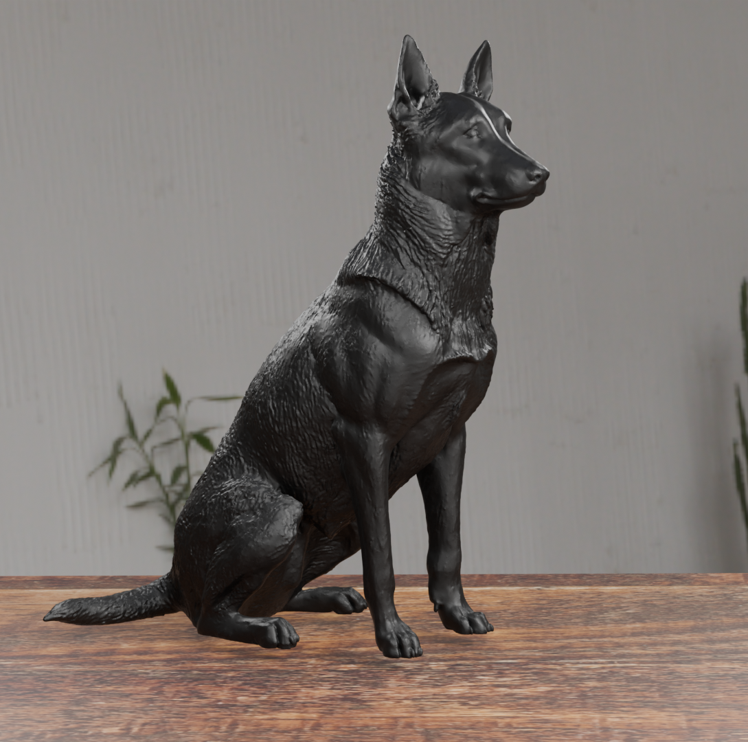 Belgian Shepherd Dog Statue 