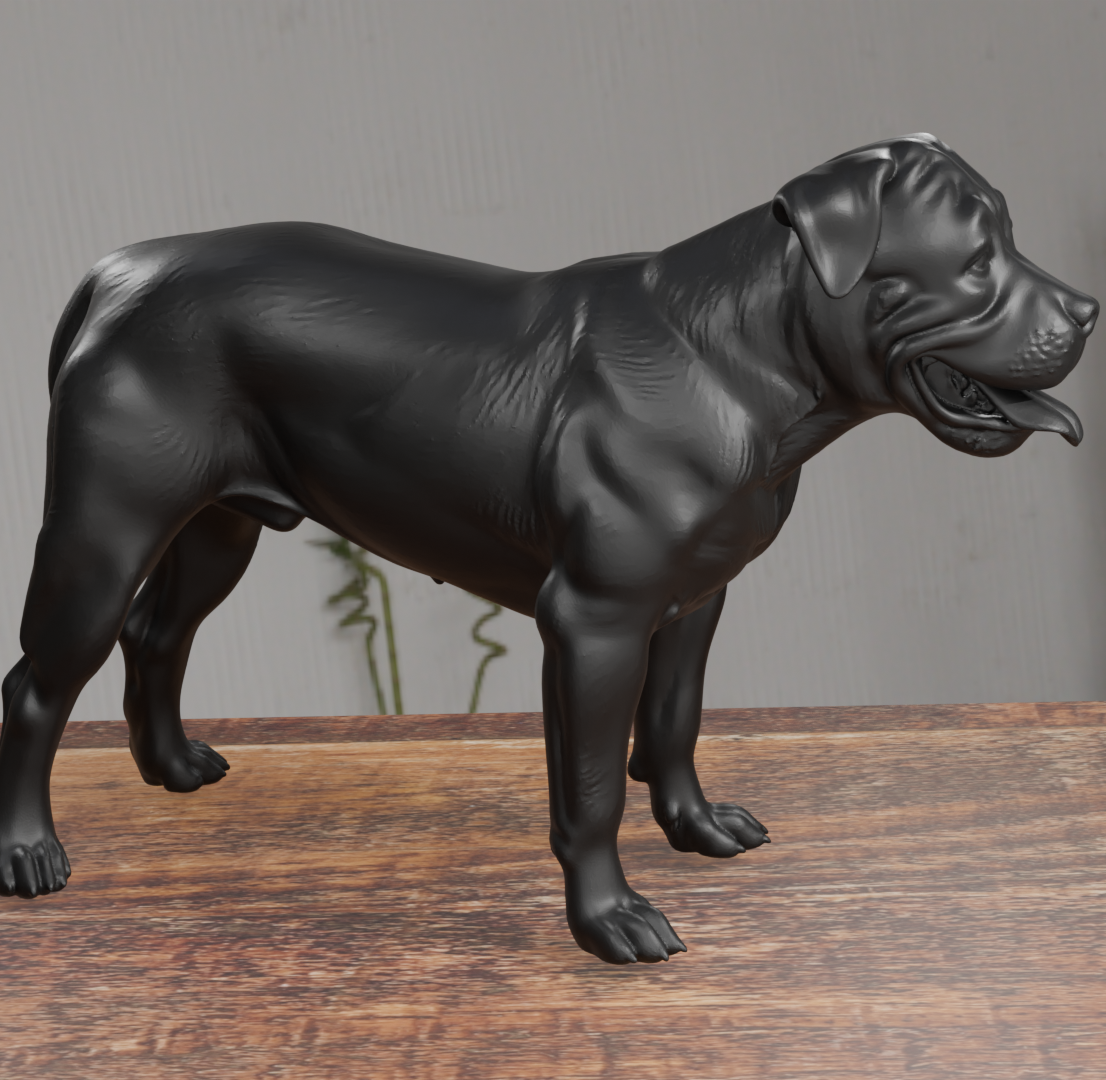 Boerboel Dog Statue