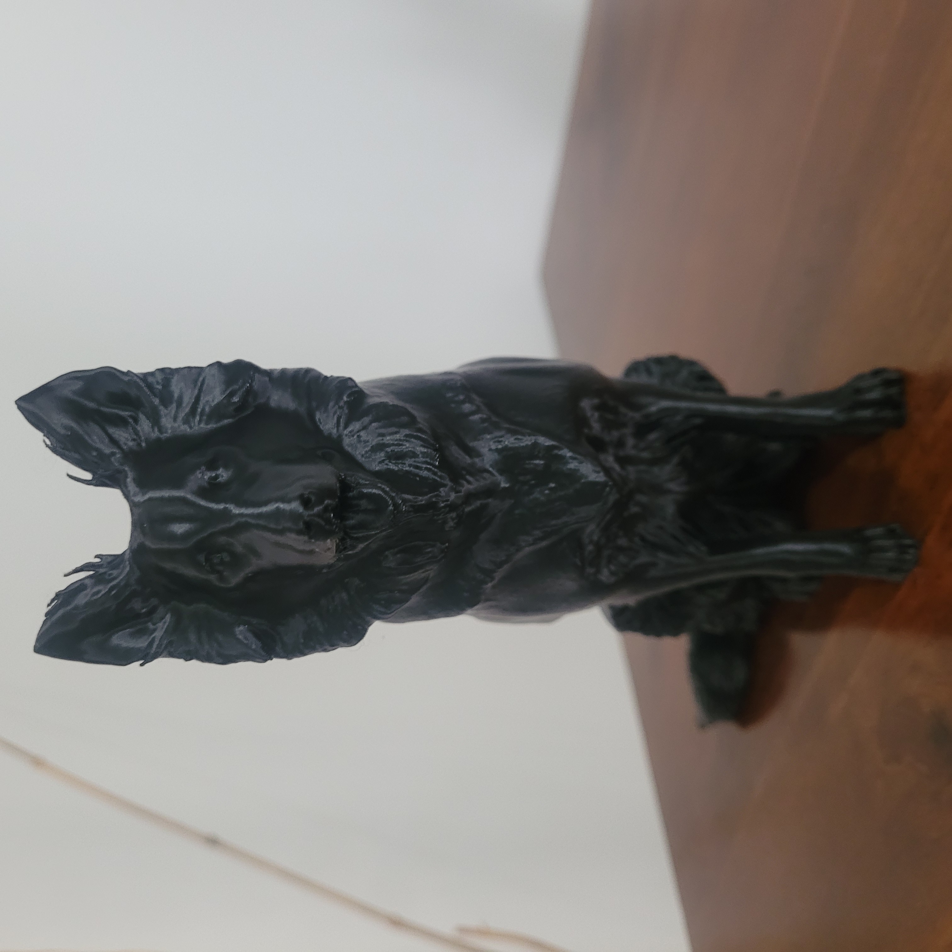 Border Collie Dog Statue