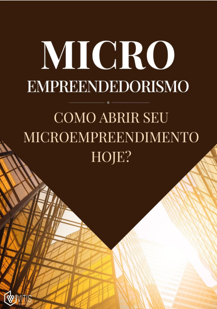 Micro Empreendedorismo