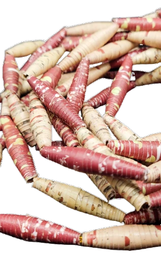 Hand Rolled Paper Beads