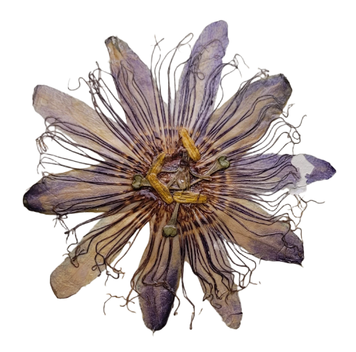 Papier Mâché Clay Bowl