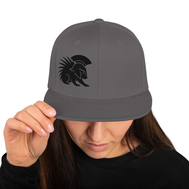 Spartan Porcupine Snapback Hat