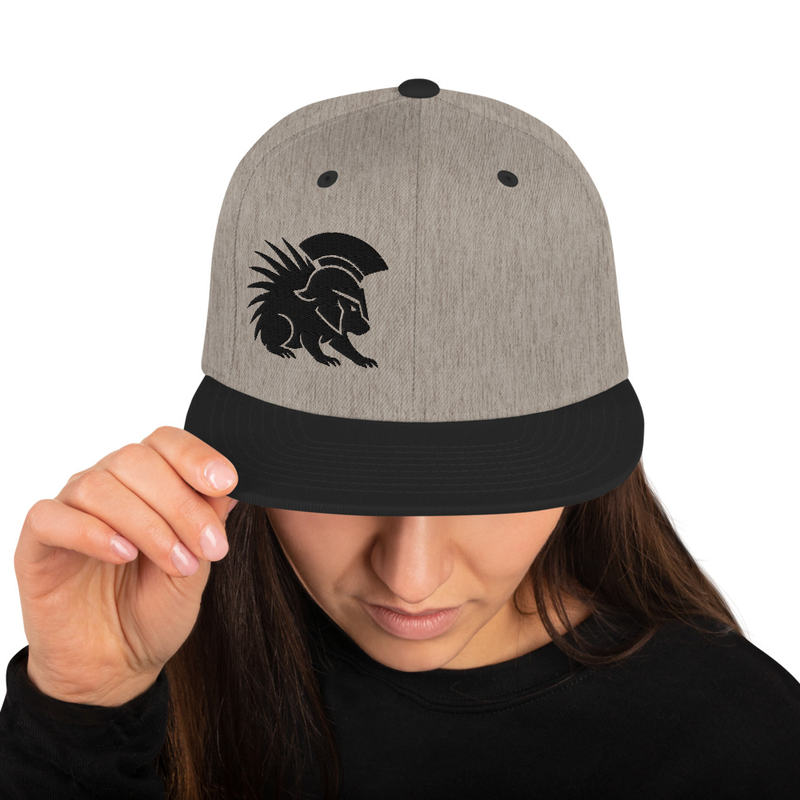 Spartan Porcupine Snapback Hat