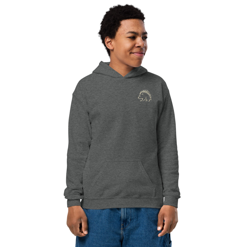 Porcupine Youth heavy blend hoodie