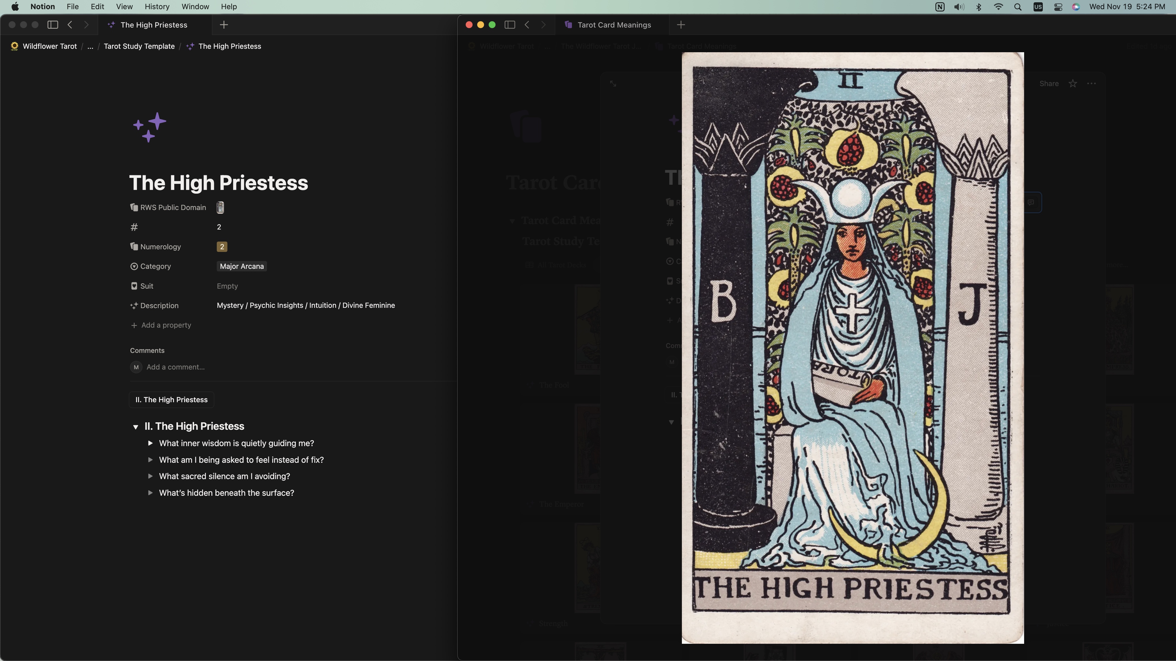 Wildflower Tarot Notion Journal