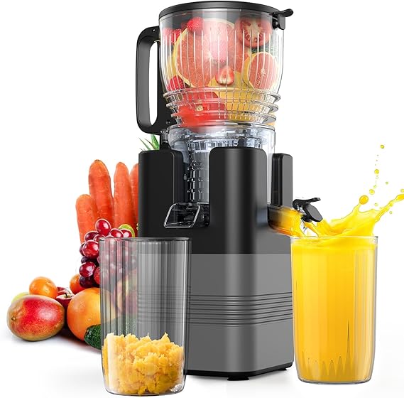 High-Power Fruit and Vegetable Juicer