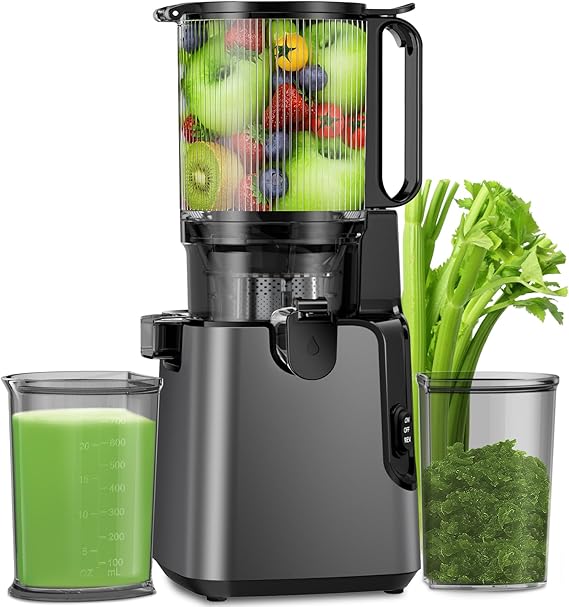 Slow Masticating Juicer