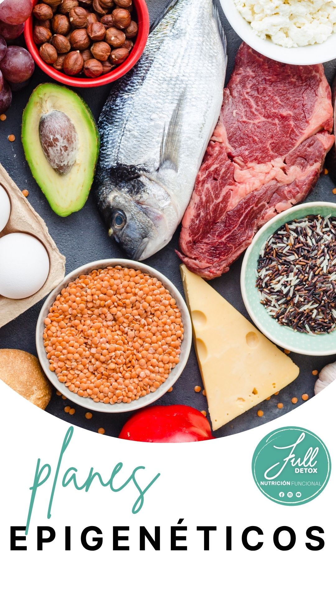 Plan Pro Epigenetico