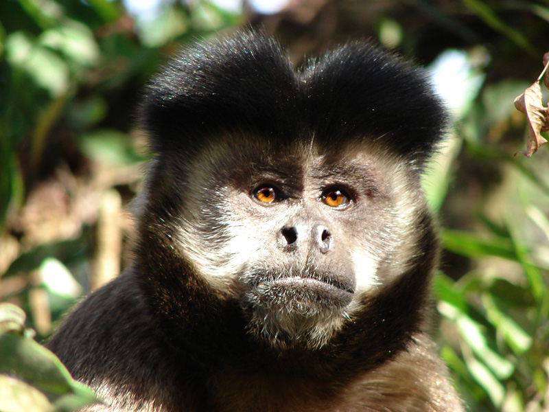 Health and Medicine Data Sheet