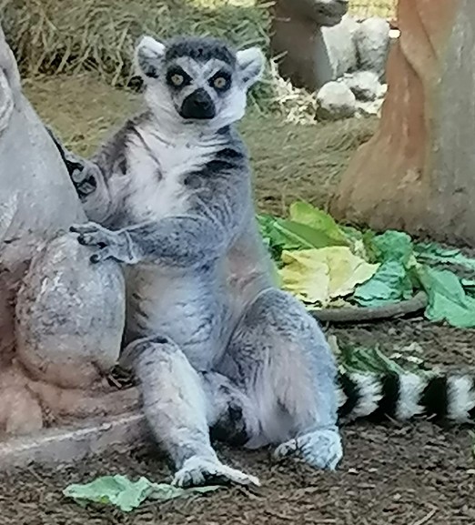 Health and Medicine Data Sheet