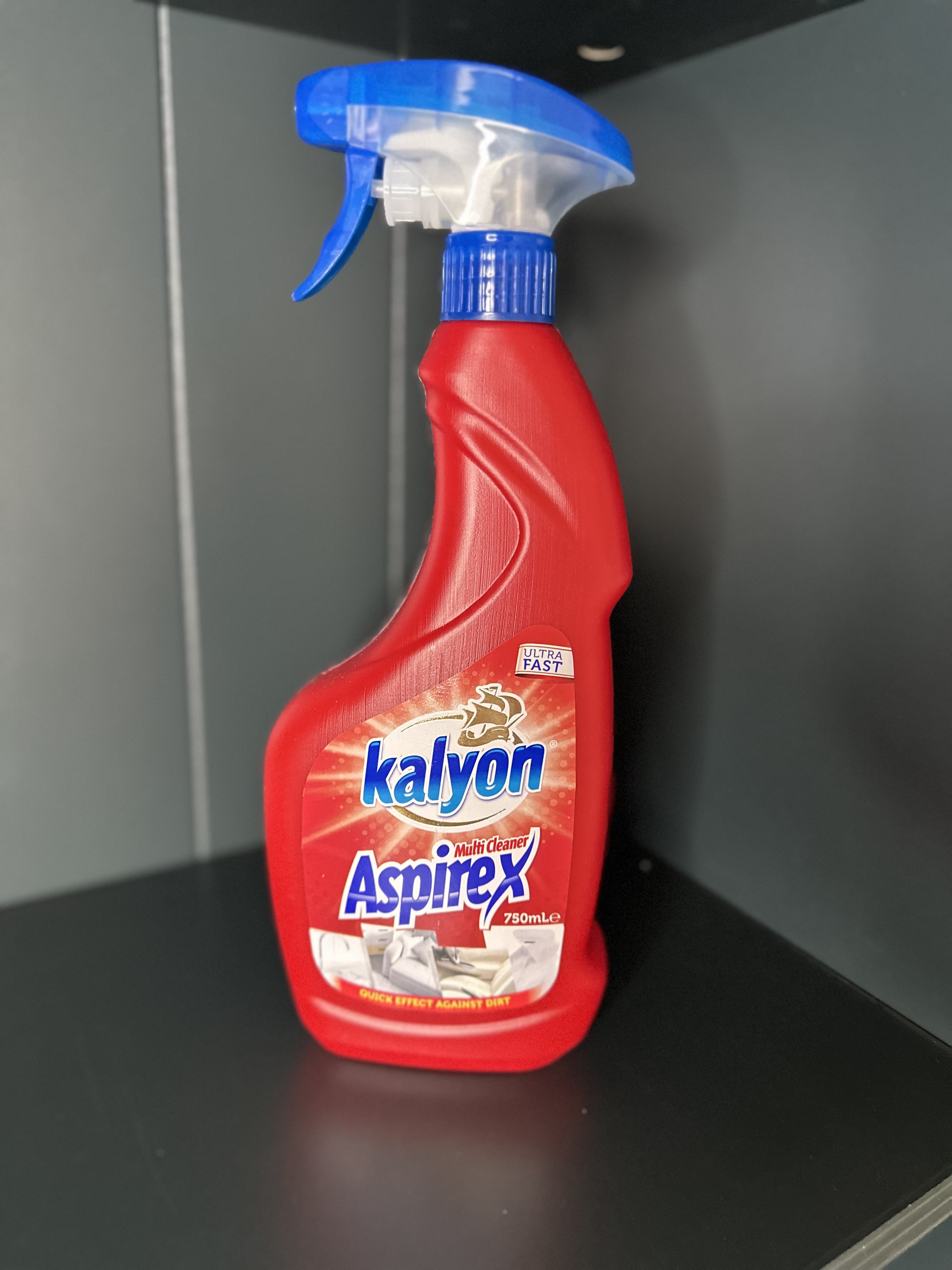 Kalyon Aspilex universalus valiklis