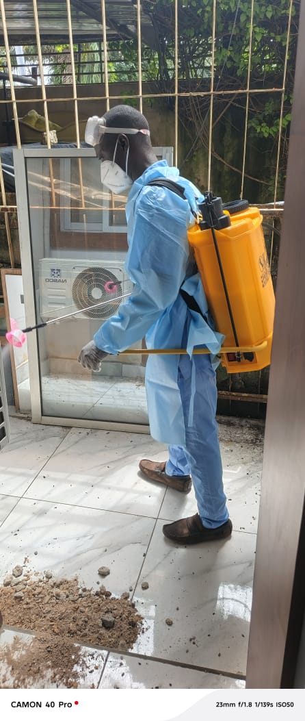  Service de Désinsectisation pour Maisons et Entreprises