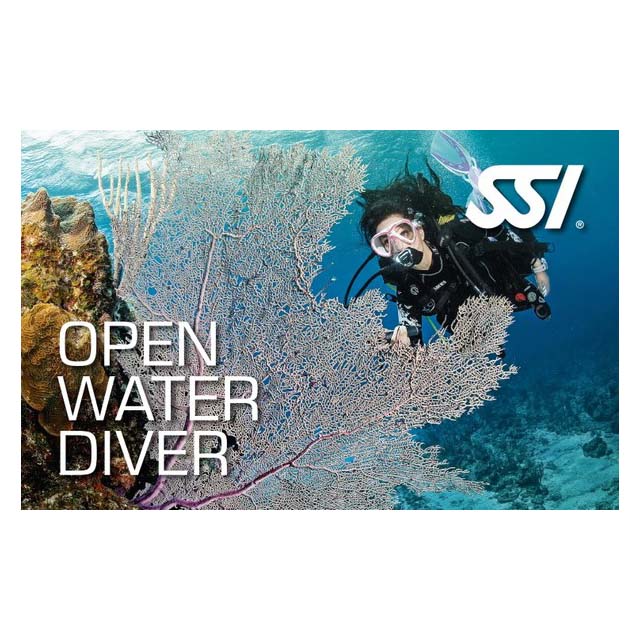 SSI Open Water Diver Kurs