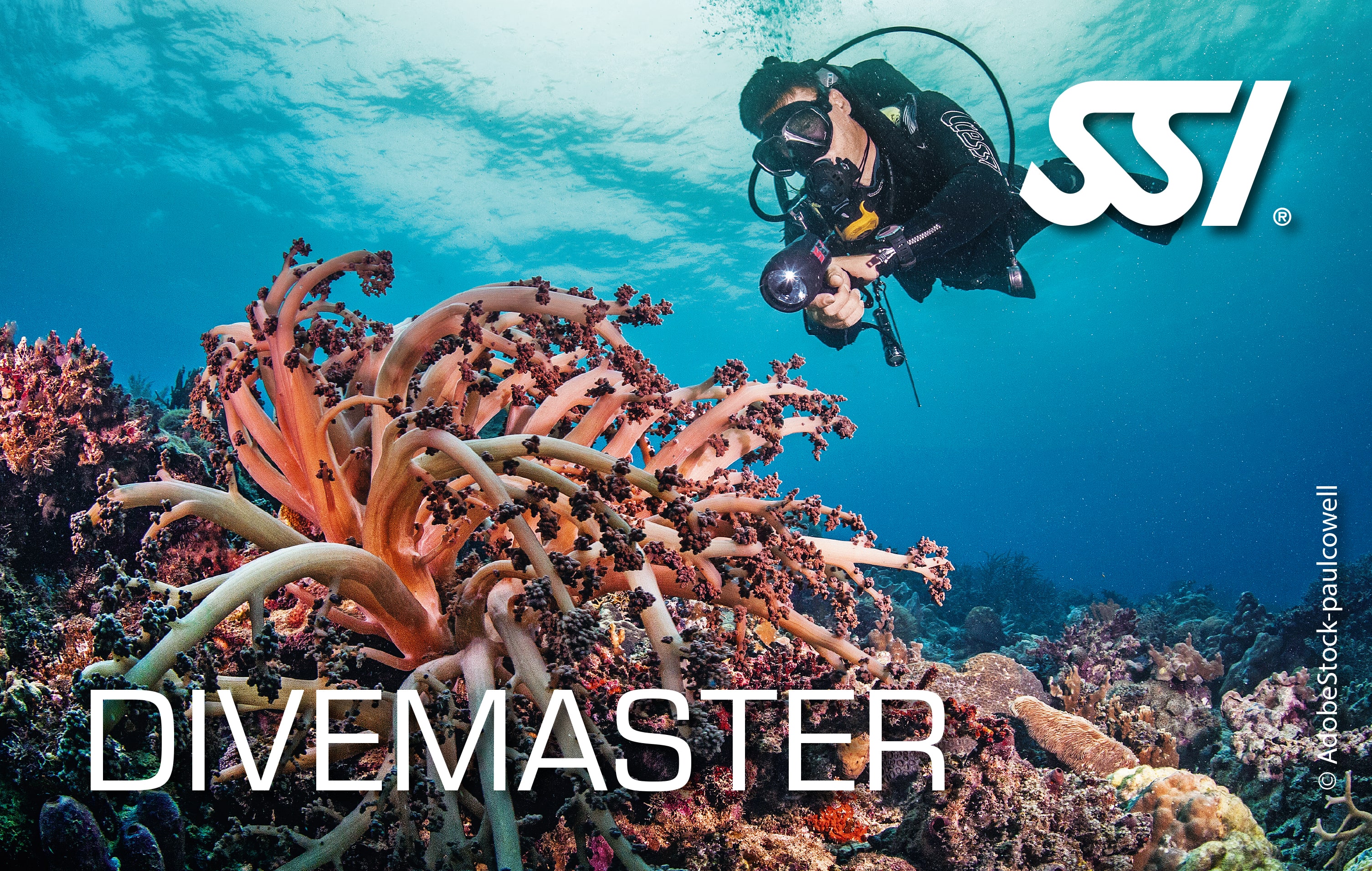 SSI Divemaster Kurs 
