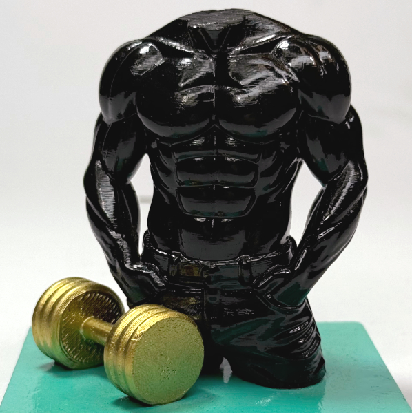 مجسم عضلات الجسم مع الدمبل