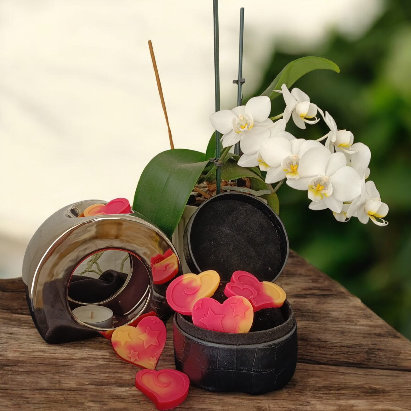 Fondants parfumé  Bûche Framboise Passion