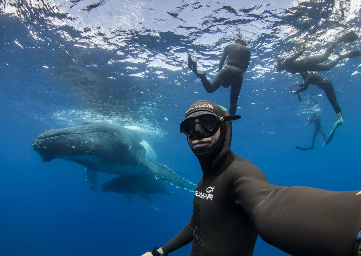 🌺 7-Day Moorea Ocean & Island Retreat