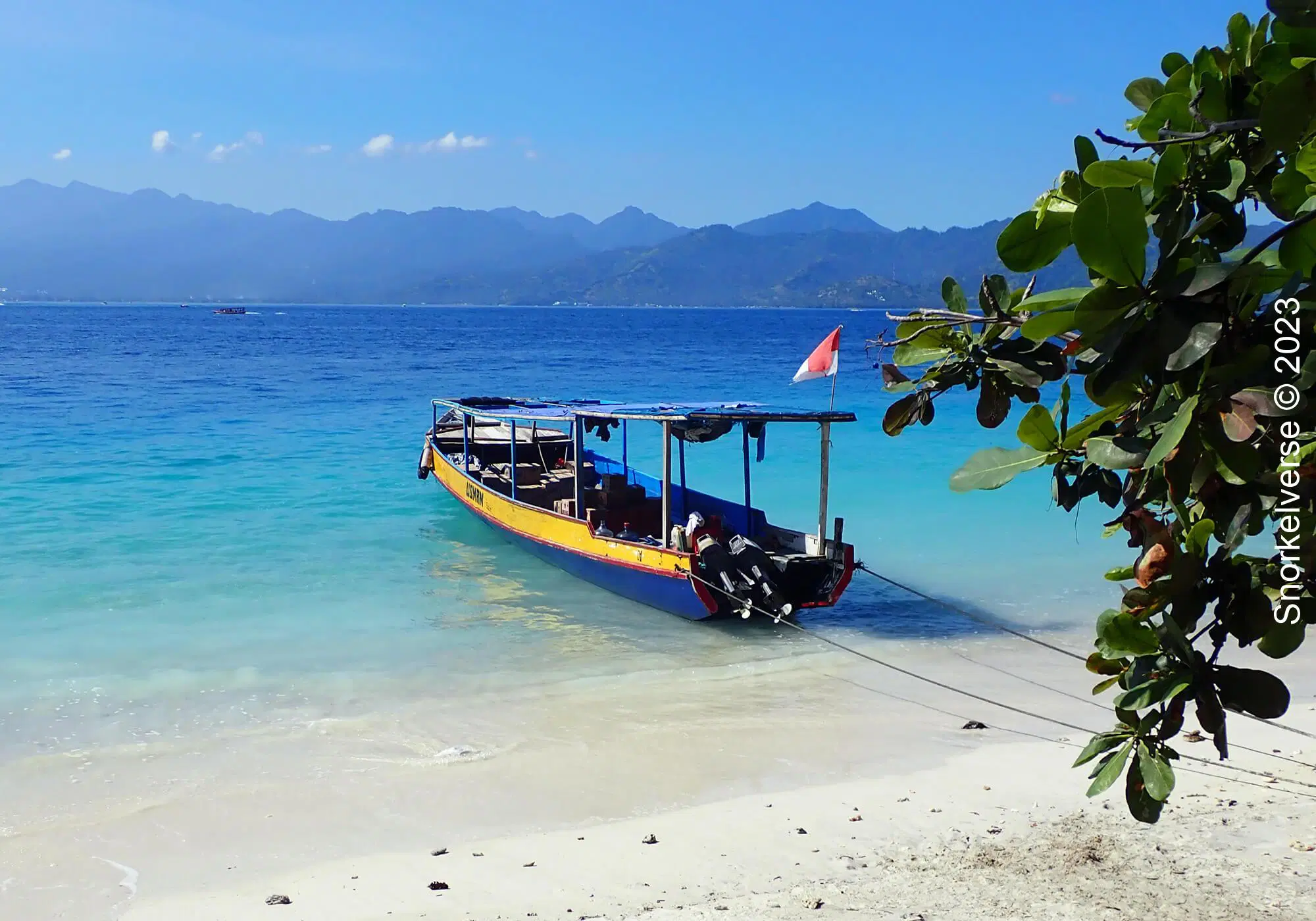 ⚓8 Days of Submersion in Amed & Soul Connection in Ubud