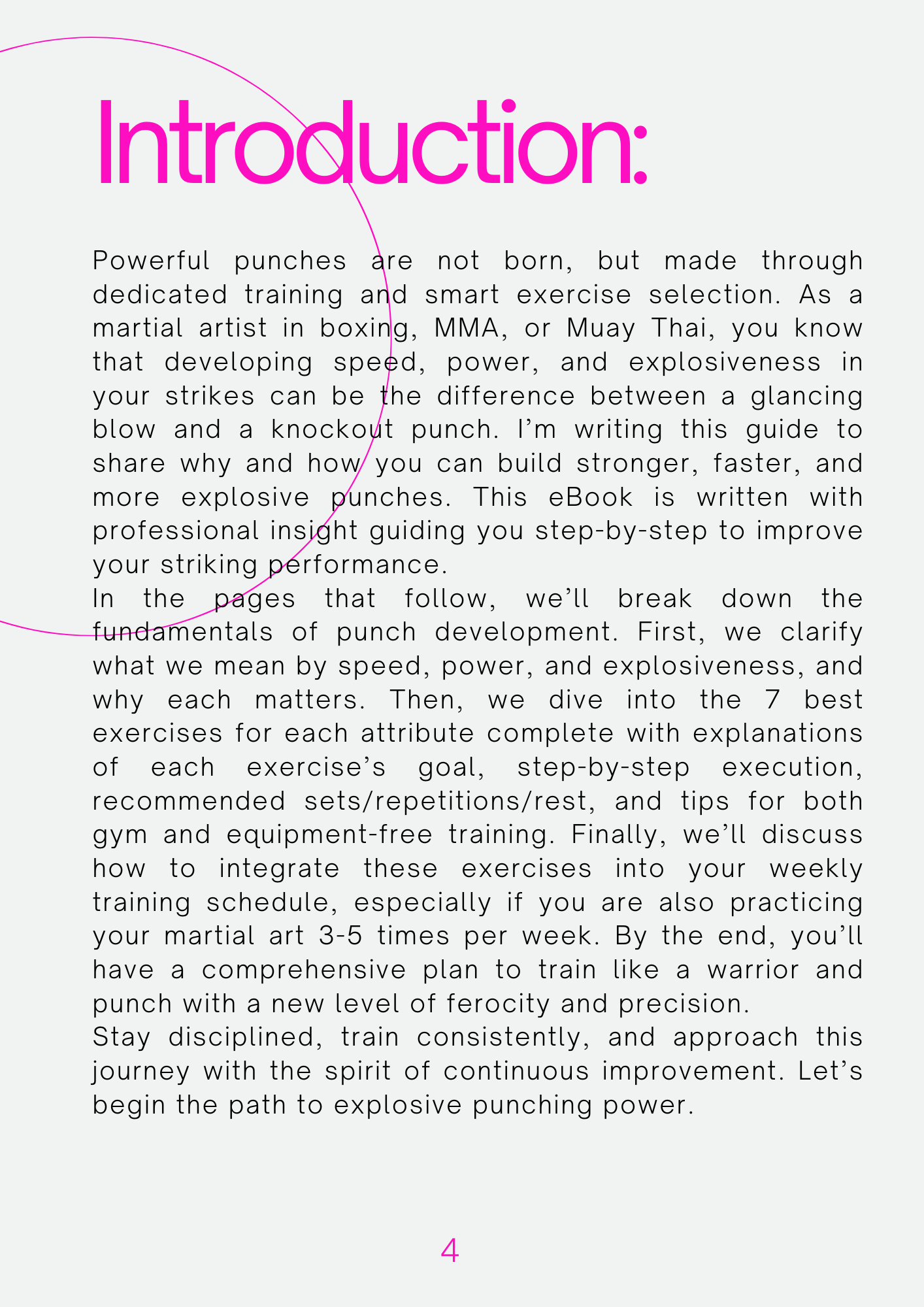 Ebook: Punches Martial Arts