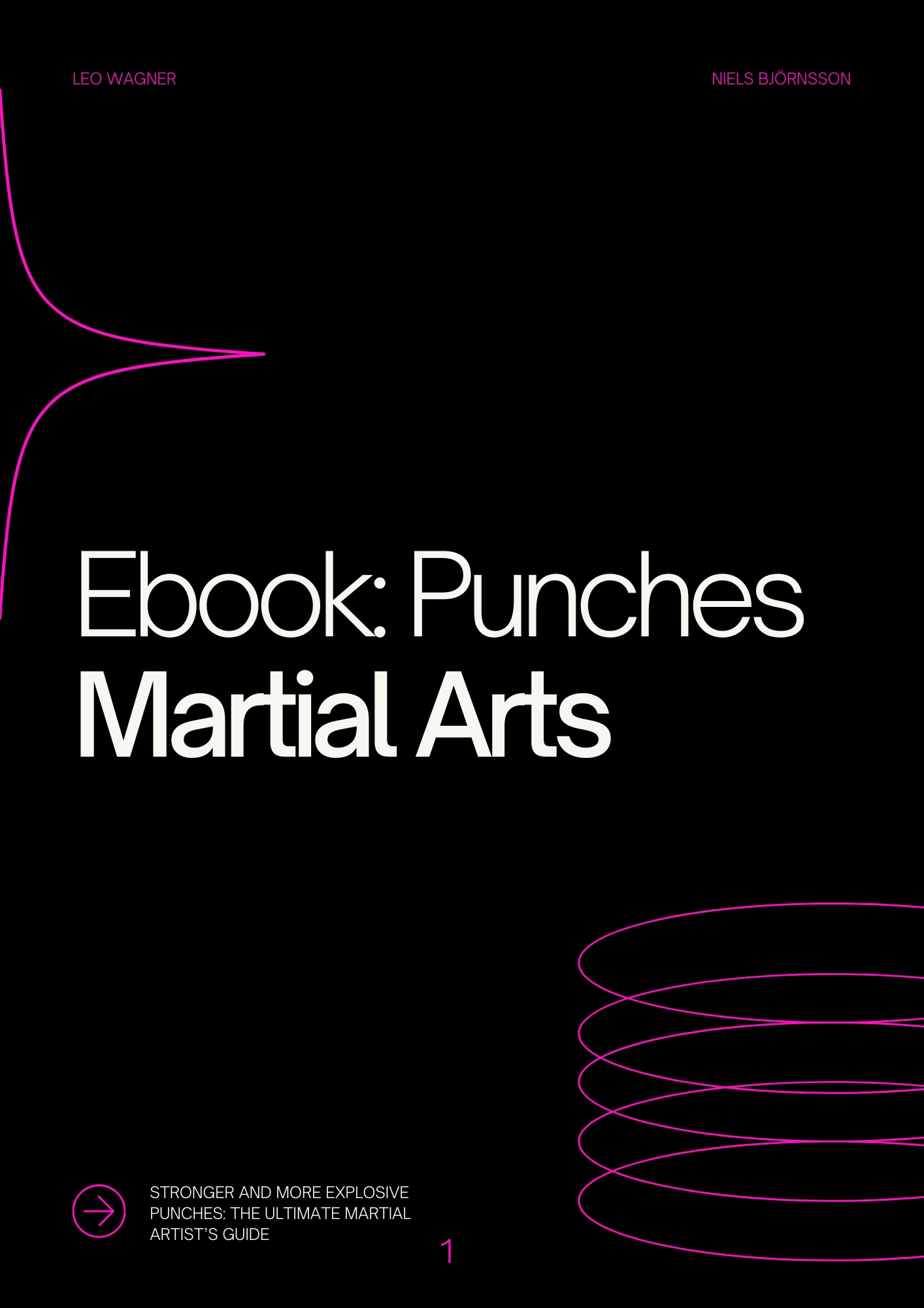Ebook: Punches Martial Arts