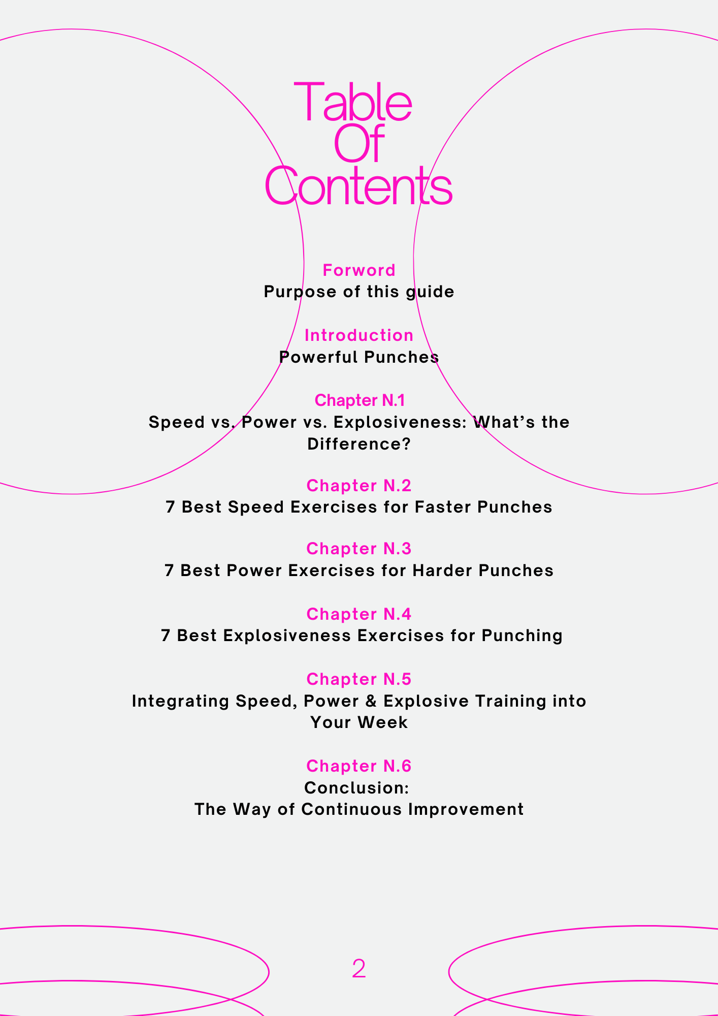 Ebook: Punches Martial Arts