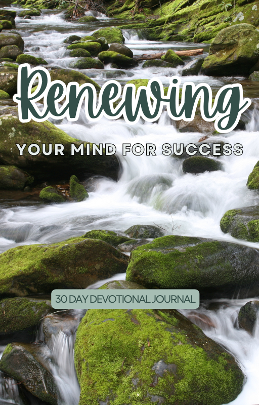 Renewing Your Mind for Success 