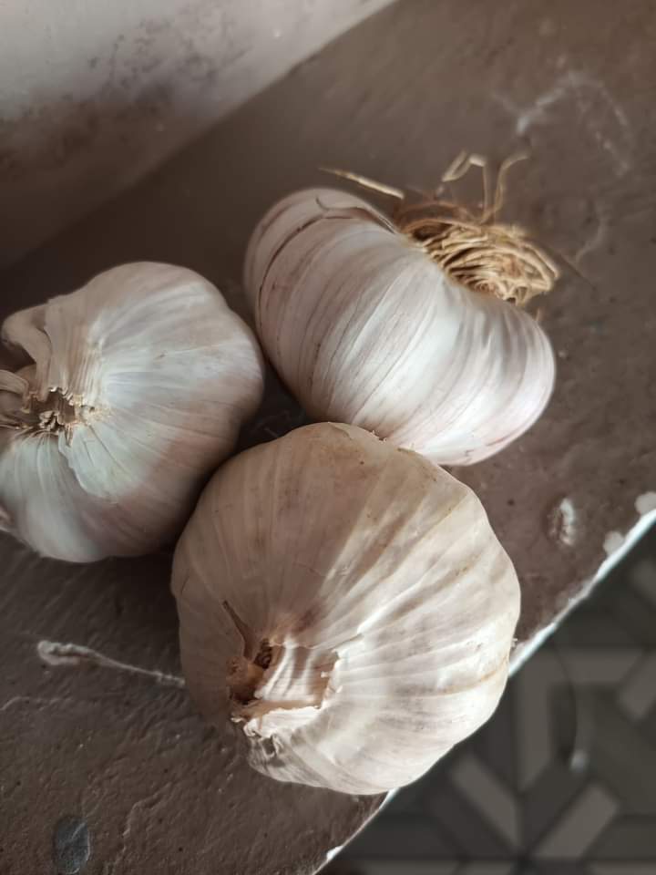 Haske Agricultural Multi-purpose Services Ltd.