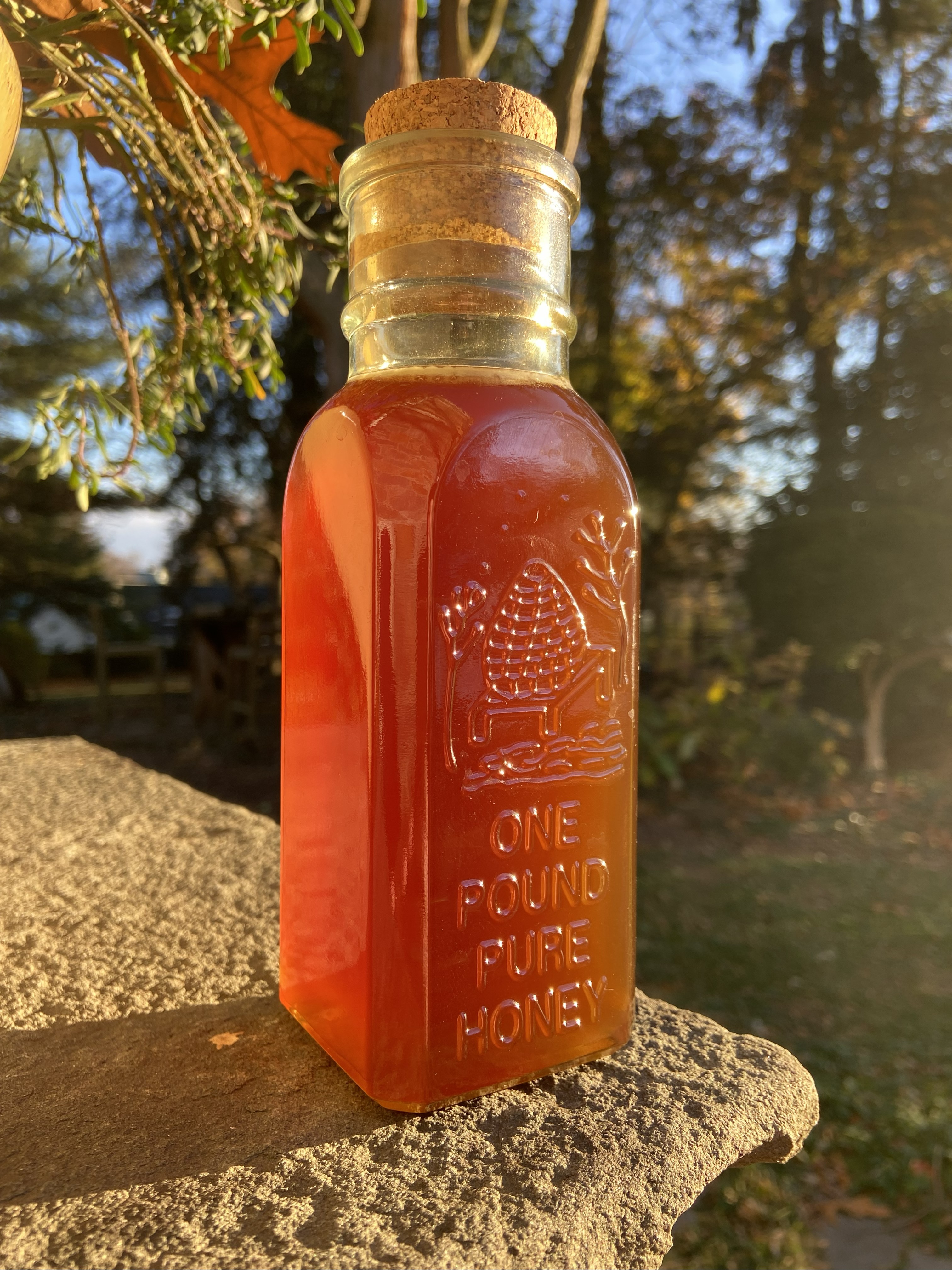 Summer Wildflower Honey