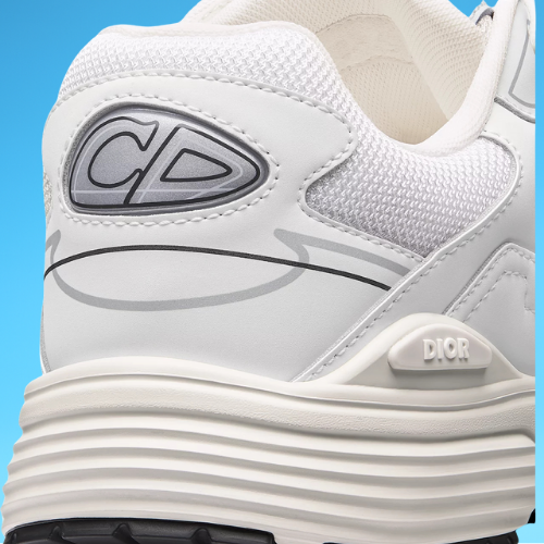 Dior B30 "White Grey"