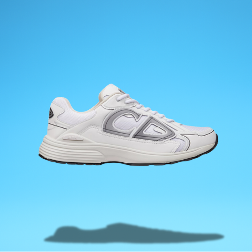 Dior B30 "White Grey"