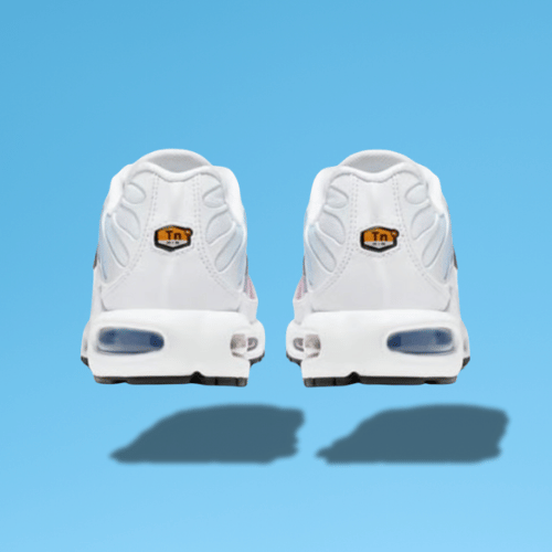 Nike Air Max Plus "Summer Gradient"
