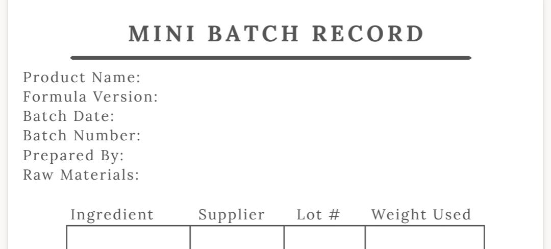 Mini Batch Record (Lite)