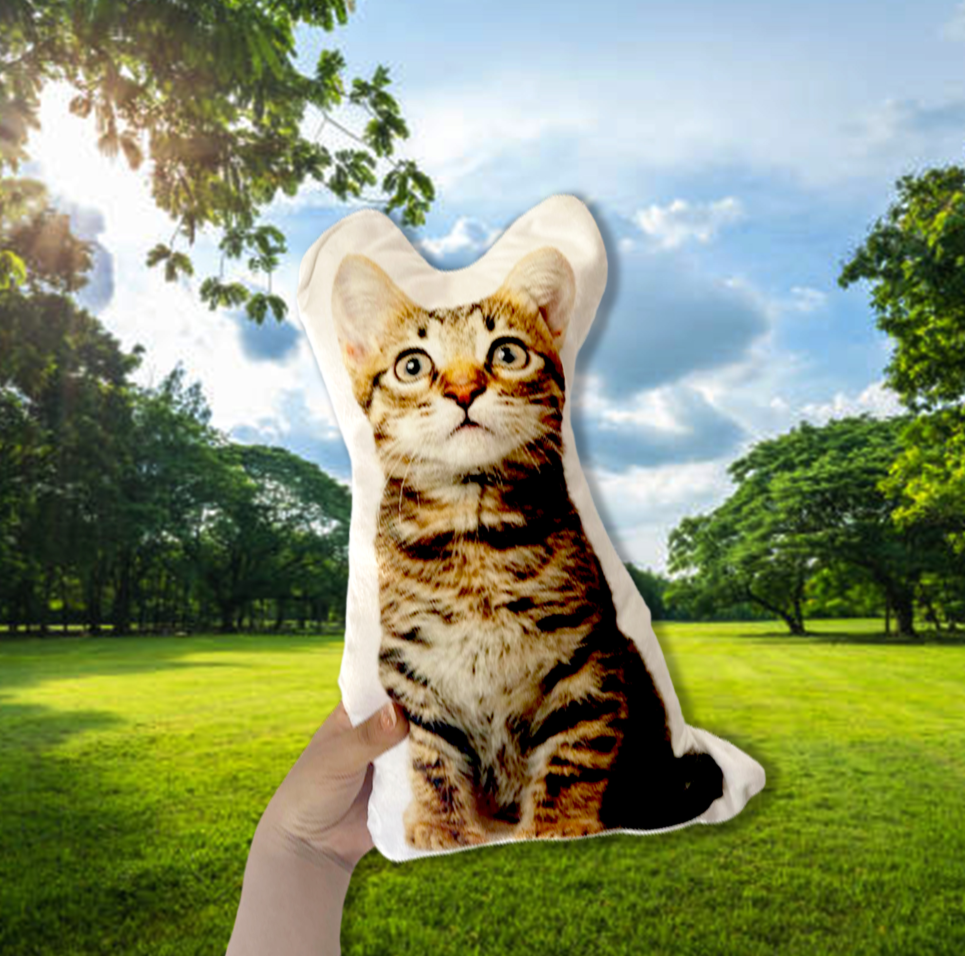 Cojín Personalizado