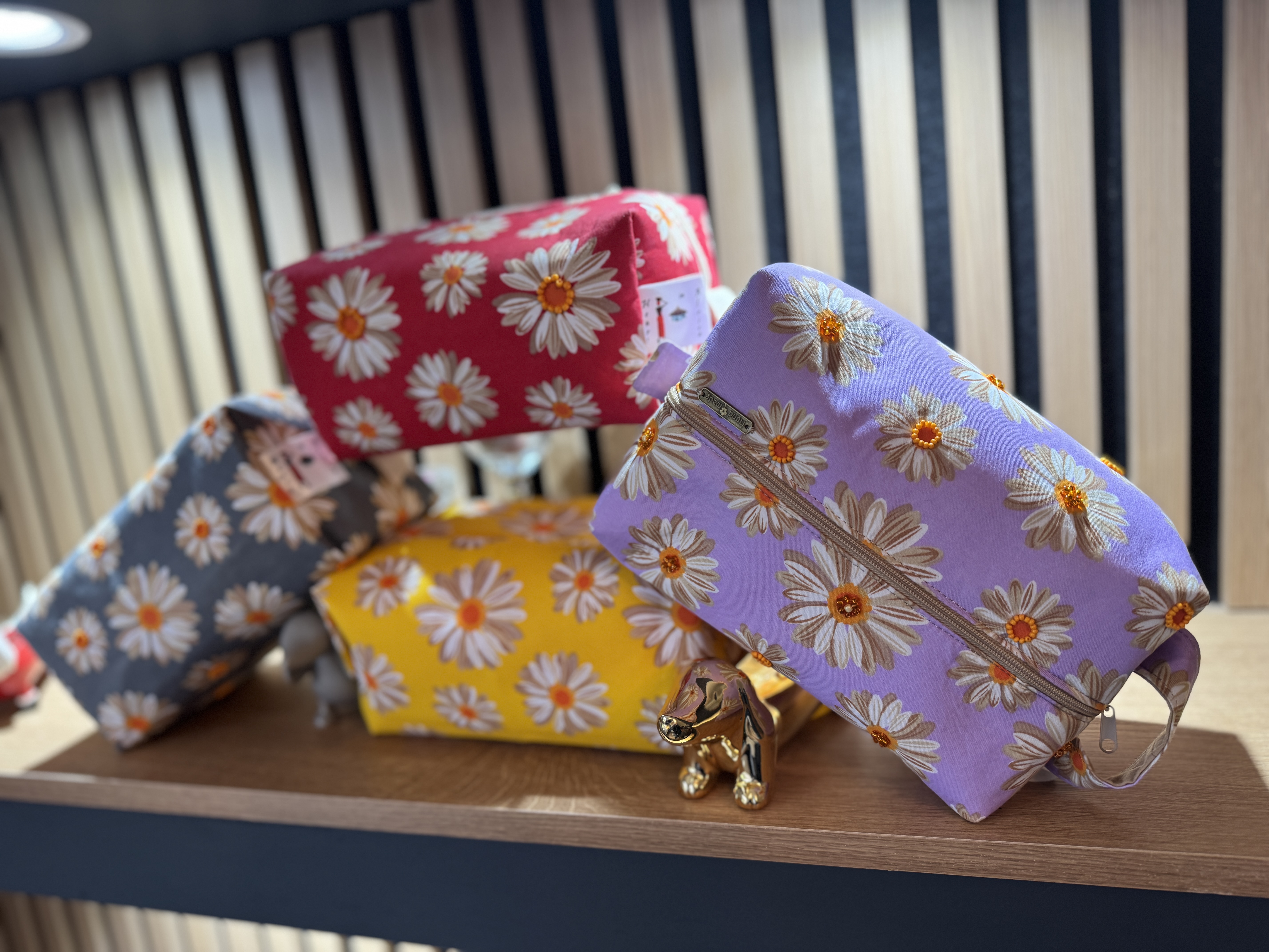 Daisies from Namakwaland