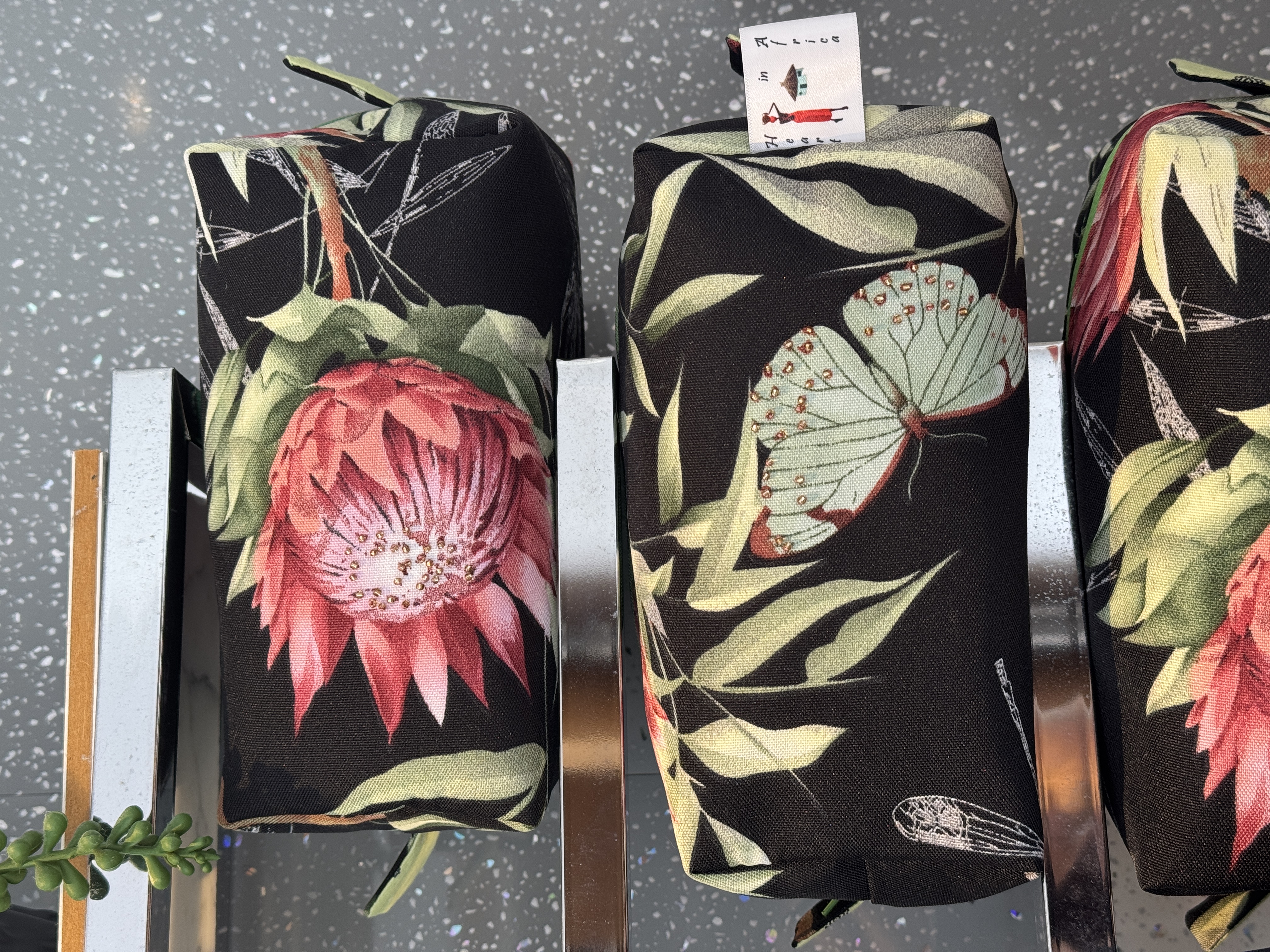 Proteas of the Night Life