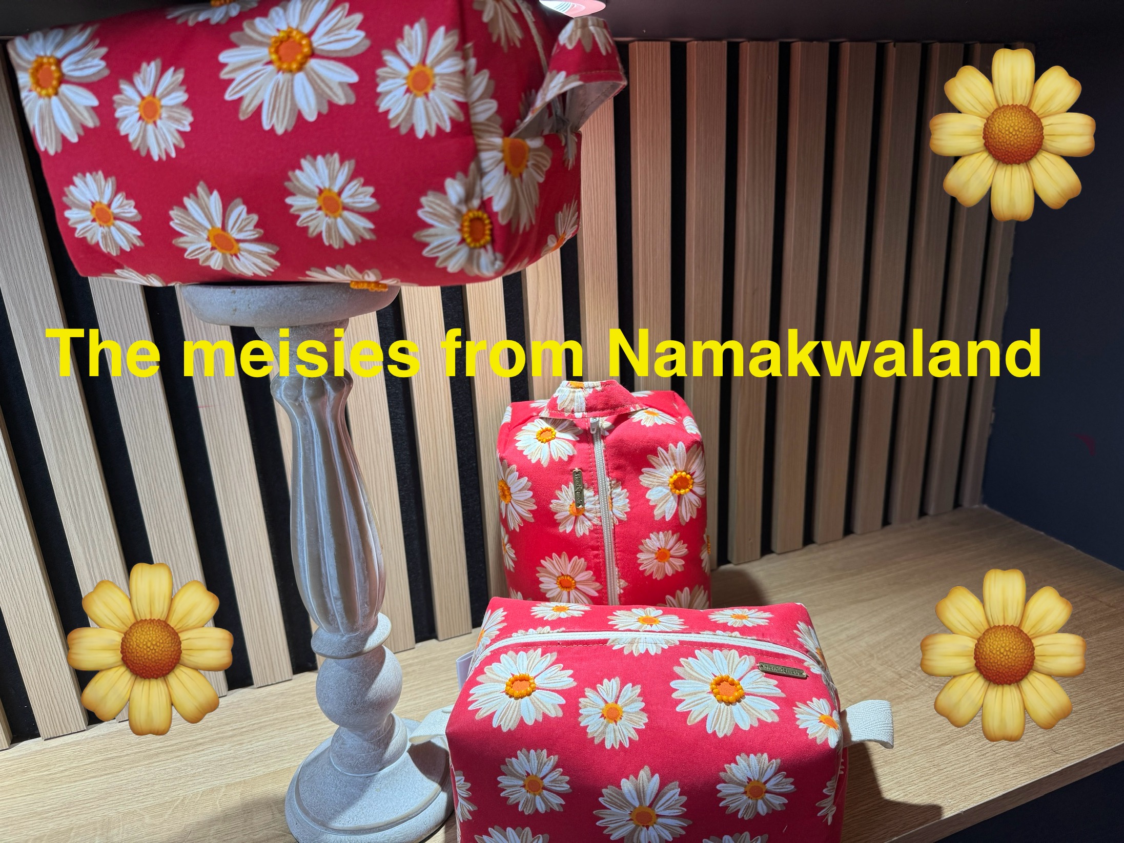 Daisies from Namakwaland