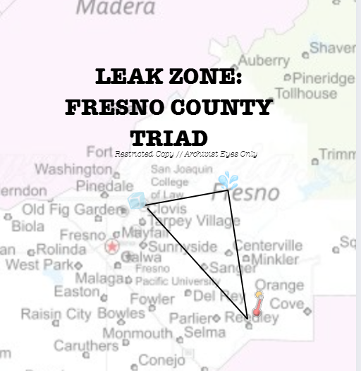 The Leak Zone Triad Set