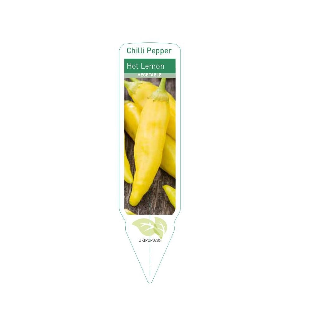 Pepper - Hot Chilli Lemon Drop