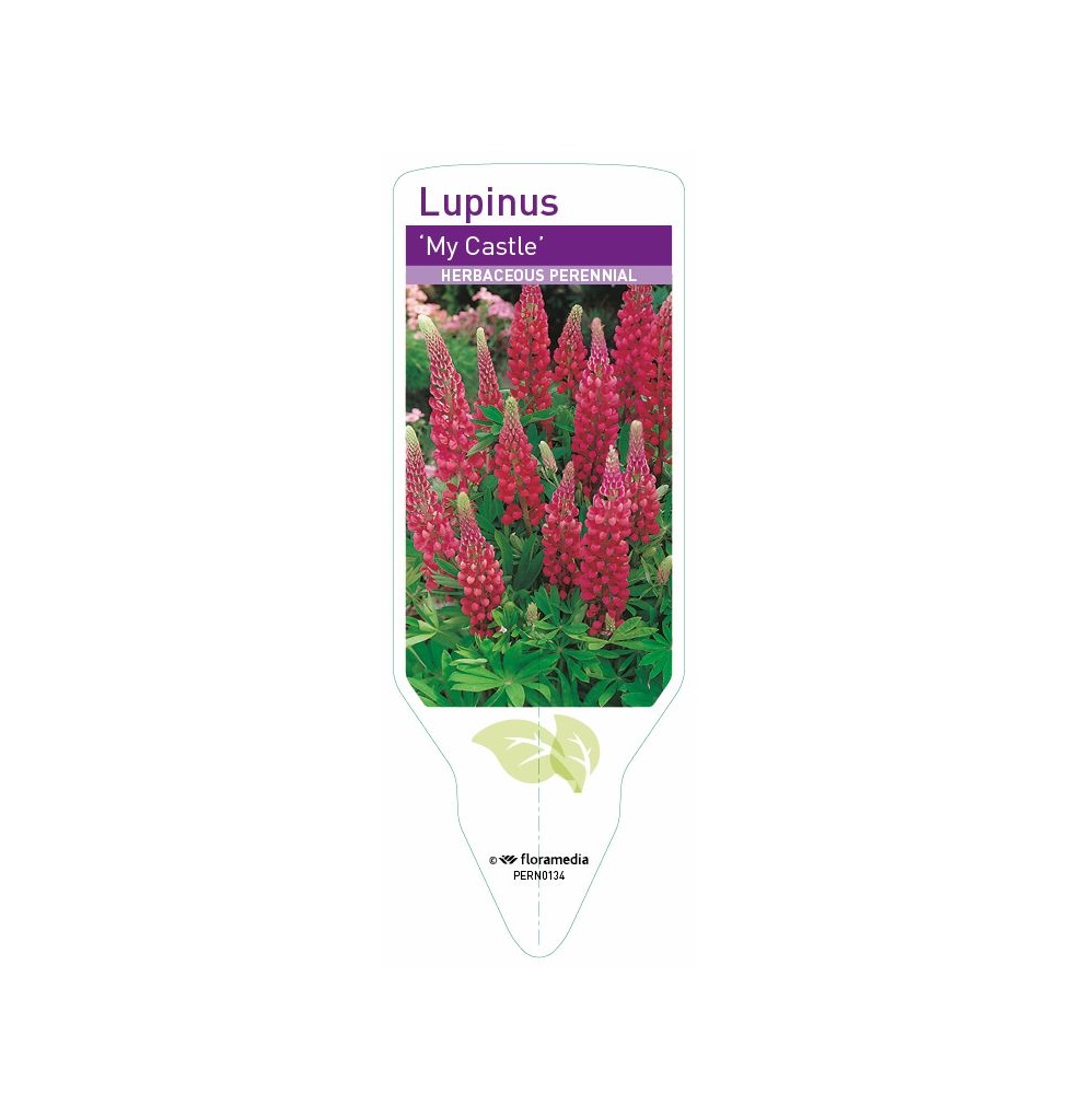 Lupin - Russell My Castle