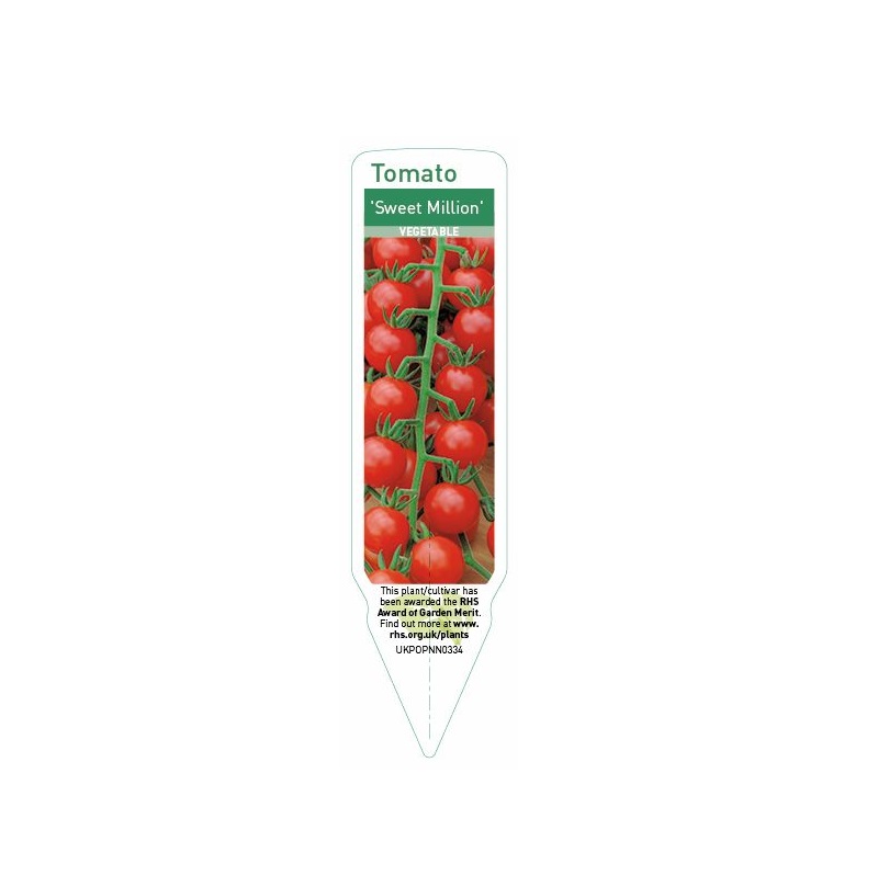 Tomato - Cherry Sweet Million F1