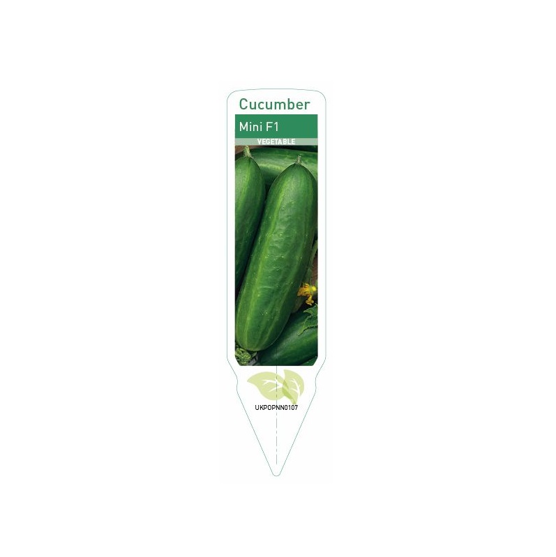 Cucumber - Mini Munch F1