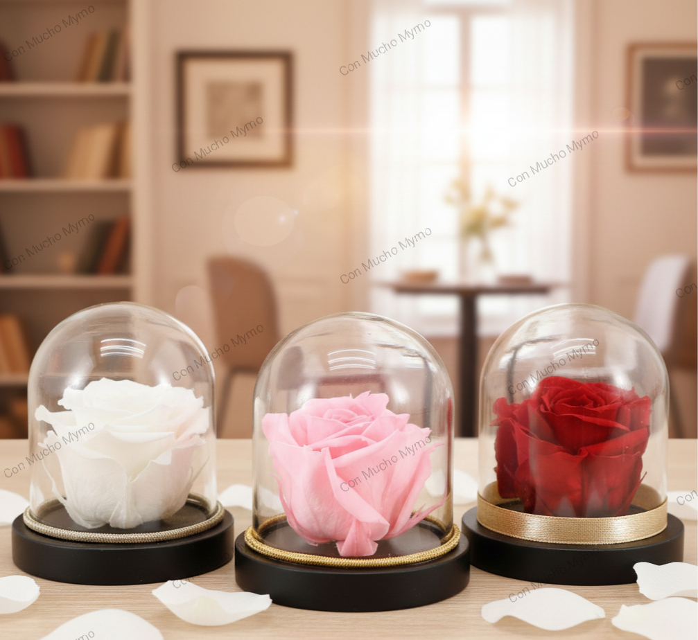 Rosa natural preservada en cúpula acrílica
