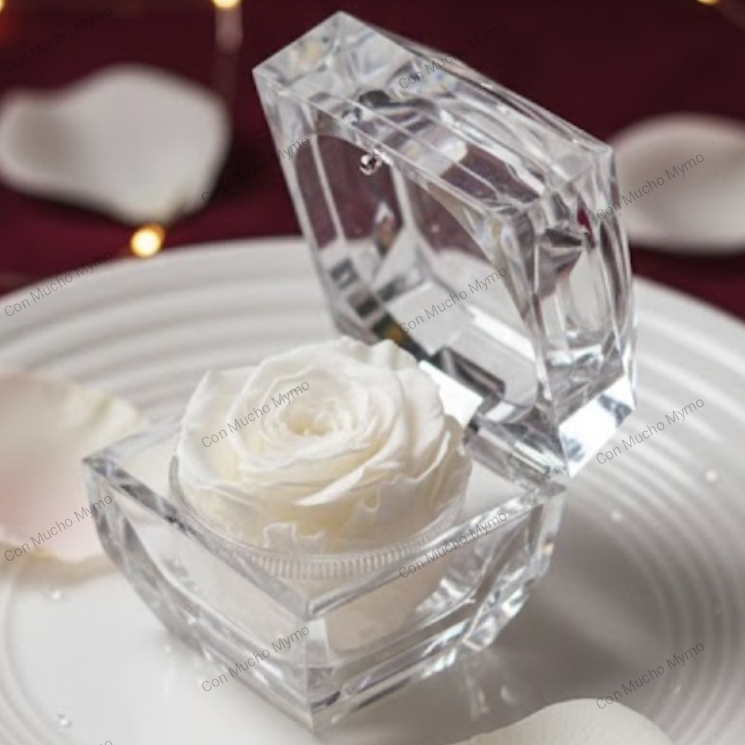 Rosa natural preservada en caja acrílica