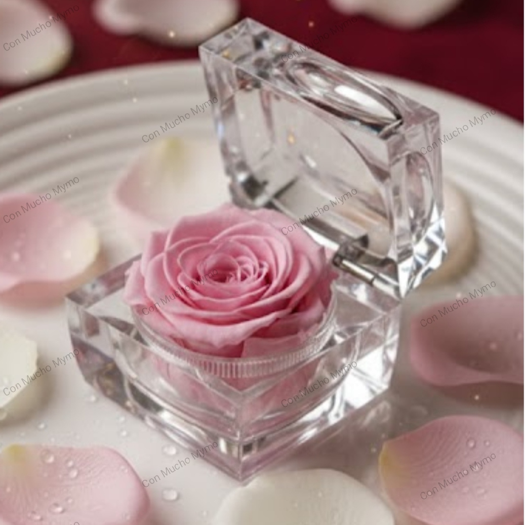 Rosa natural preservada en caja acrílica