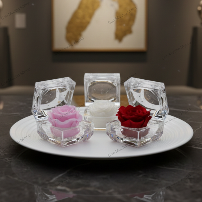 Rosa natural preservada en caja acrílica