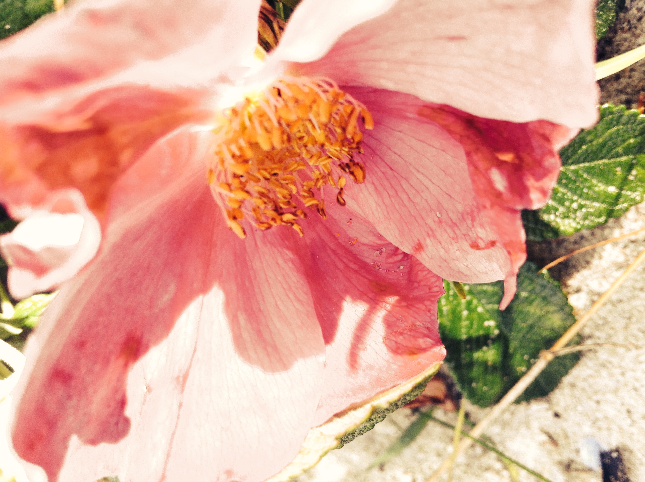 I AM -  3 Monatsprogramm